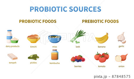 Probiotics Sources Cartoon Infographics 87848575