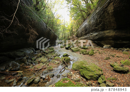 愛媛県東温市　秋の滑川渓谷　奥の滝 87848943