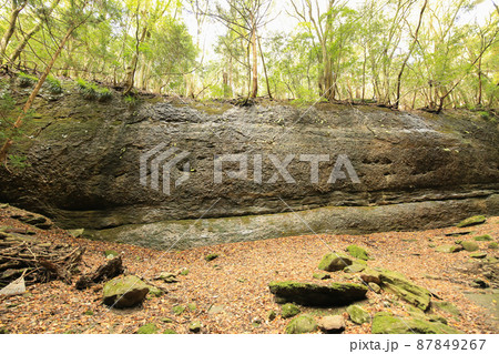 愛媛県東温市　秋の滑川渓谷　龍の腹 87849267