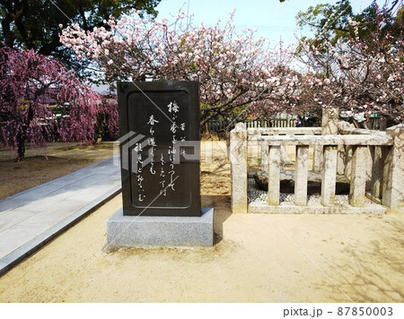 菅原道真の和歌が刻まれた黒い歌碑の隣に史跡の神形石が鎮座しピンクや白の梅が咲き乱れる神社の境内 87850003