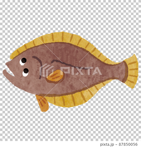 比目魚手繪插圖 比目魚手繪插圖 87850056