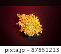 暗闇で真上から撮られる白菜の花 87851213