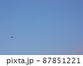 雲一つない空を飛ぶ一羽の鳥 87851221