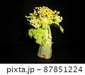 暗闇で撮った白菜の花 87851224