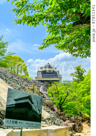 熊本城(城内新緑風景)「復興再建完了後」2021年(春)新緑風景Kumamoto Castle 熊本城(城内新緑風景)「復興再建完了後」2021年(春)新緑風景Kumamoto Castle 87851341
