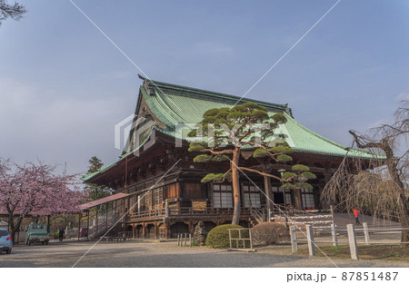 春の護国寺(本堂) 春の護国寺(本堂) 87851487