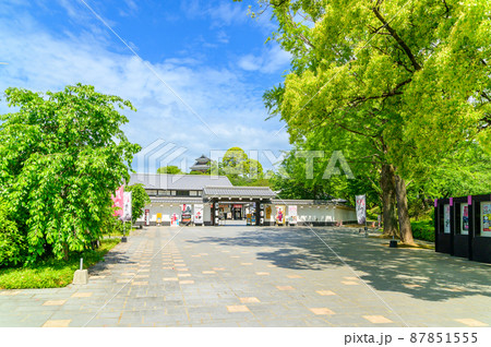 熊本城(桜の馬場 城彩苑新緑風景)「復興再建完了後」2021年(春)新緑風景 熊本城(桜の馬場 城彩苑新緑風景)「復興再建完了後」2021年(春)新緑風景 87851555
