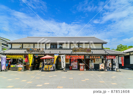 熊本城(桜の馬場　城彩苑新緑風景)「復興再建完了後」2021年(春)新緑風景 87851608