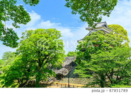 熊本城(城内新緑風景)「復興再建完了後」2021年(春)新緑風景Kumamoto Castle 熊本城(城内新緑風景)「復興再建完了後」2021年(春)新緑風景Kumamoto Castle 87851789
