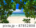 沖縄　恩納村　ビーチの木陰から見る海 87852808