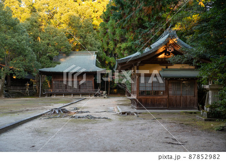 山口県山口市の豊榮神社	 87852982