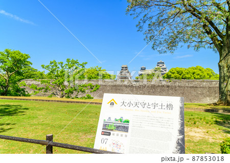 熊本城(二の丸公園新緑風景)「復興再建完了後」2021年(春)新緑風景Kumamoto Castle 87853018