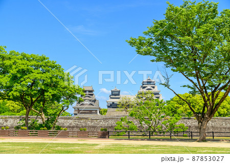 熊本城(二の丸公園新緑風景)「復興再建完了後」2021年(春)新緑風景Kumamoto Castle 87853027