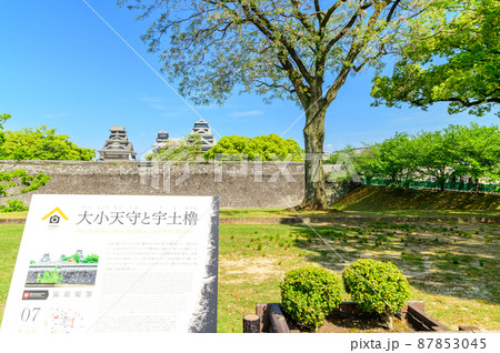 熊本城(二の丸公園新緑風景)「復興再建完了後」2021年(春)新緑風景Kumamoto Castle 熊本城(二の丸公園新緑風景)「復興再建完了後」2021年(春)新緑風景Kumamoto Castle 87853045