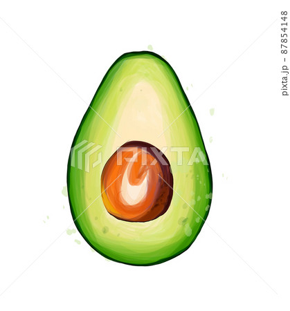 Avocado slice from multicolored paints. Splash of watercolor, colorful drawing, realistic Avocado slice from multicolored paints. Splash of watercolor, colorful drawing, realistic 87854148