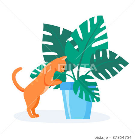 Naughty red cat trying to eat home plant. Badly behaved pet destroying house plant. Domestic animal looking into flower pot. Flat style vector 87854754