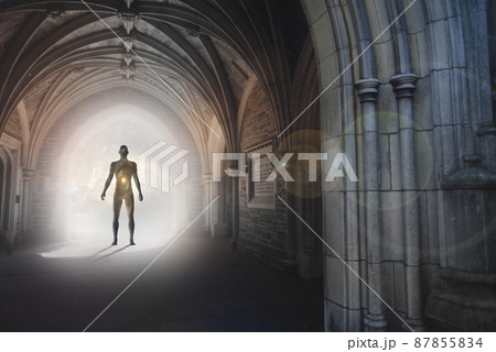 Messenger from other worlds 87855834