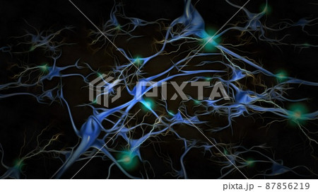 Neurons Neurons 87856219