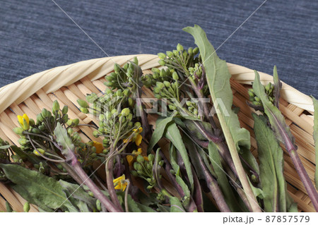 ざるにのった紅菜苔（こうさいたい） 87857579