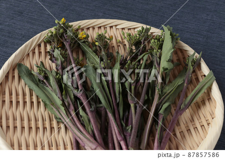 ざるにのった紅菜苔（こうさいたい） 87857586