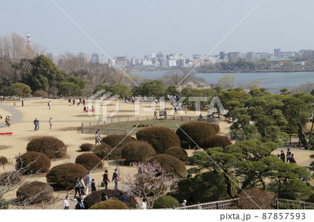 偕楽園好文亭から見た見晴広場と千波湖 87857593