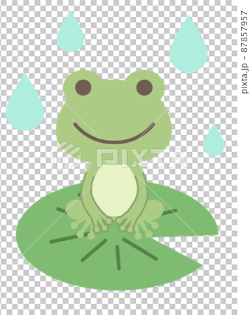 葉っぱに乗ったカエルのイラスト 87857957