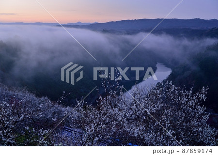 月ヶ瀬梅林の雲海 月ヶ瀬梅林の雲海 87859174