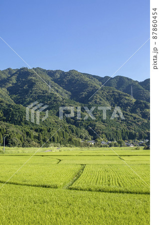 里山の田園風景 里山の田園風景 87860454