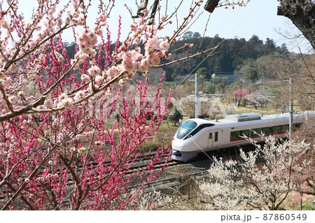偕楽園の際を走り抜けるJR常磐線特急 87860549