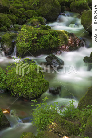 〈鳥取県〉奥大山　木谷沢渓流　夏 87860636