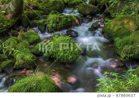 〈鳥取県〉奥大山　木谷沢渓流　夏 87860637
