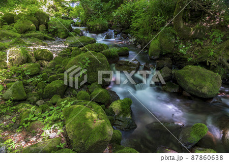 〈鳥取県〉奥大山　木谷沢渓流　夏 87860638