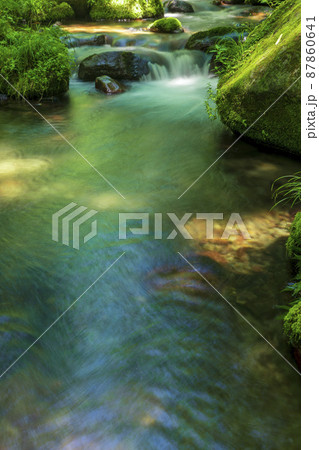 〈鳥取県〉奥大山 木谷沢渓流 夏 〈鳥取県〉奥大山 木谷沢渓流 夏 87860641