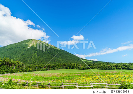 〈鳥取県〉伯耆大山〜夏〜ひまわりの花とコスモスの花 87860643