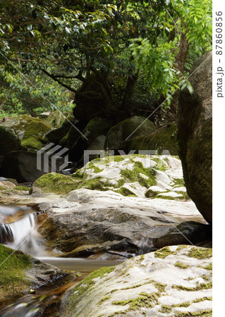 鳥取 四季の散歩 赤波川の甌穴 鳥取 四季の散歩 赤波川の甌穴 87860856