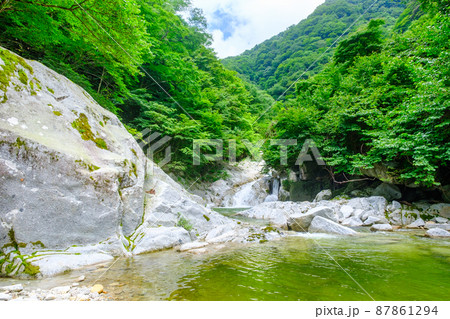 尾白川渓谷(夏) 尾白川渓谷(夏) 87861294