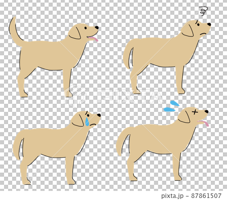 Facial expression illustrations of various dogs 87861507