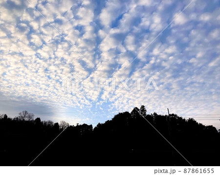 羊雲 羊雲 87861655