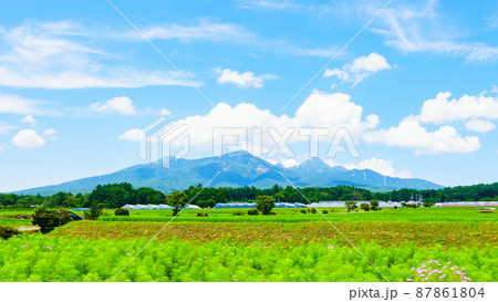 北杜市から望む八ヶ岳 87861804