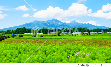 北杜市から望む八ヶ岳 87861808