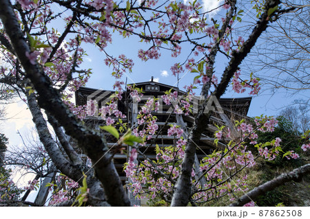 笠森観音、桜の間に見る観音堂 笠森観音、桜の間に見る観音堂 87862508