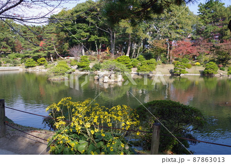 広島縮景園の池の景色 広島縮景園の池の景色 87863013