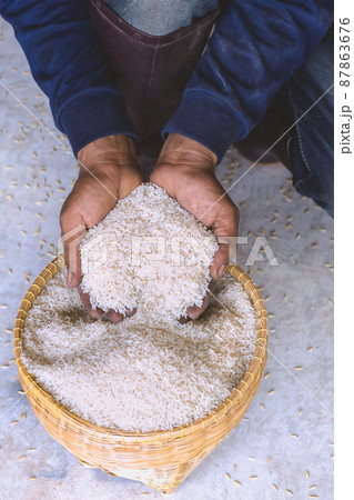 Close up raw jasmine white rice grain in argriculture hand vertical. Close up raw jasmine white rice grain in argriculture hand vertical. 87863676