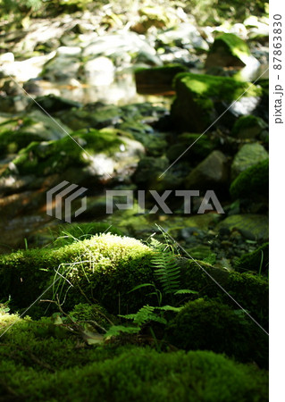 鳥取　四季の散歩　赤波川の甌穴 87863830