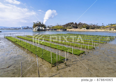 松川浦桟橋からの風景　海苔の養殖棚　福島県相馬市 87864065