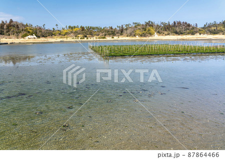 松川浦桟橋からの風景 海苔の養殖棚 福島県相馬市 松川浦桟橋からの風景 海苔の養殖棚 福島県相馬市 87864466