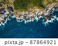 海岸のドローン写真 87864921