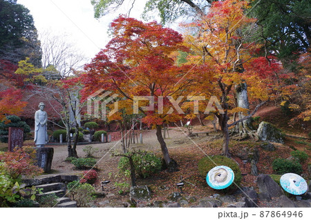 三次市尾関山公園の紅葉の景色 87864946