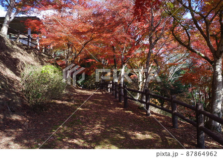 三次市尾関山公園の紅葉の景色の写真素材