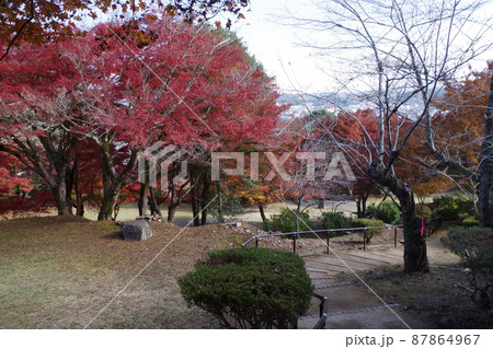 三次市尾関山公園の紅葉の景色 87864967